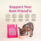 Pupford Good Dog Food, Freeze-Dried Raw, High-Protein, Superfood Ingredients, Vet-Approved, No Fillers or Artificial Additives (Lamb & Salmon Recipe, 16 oz)