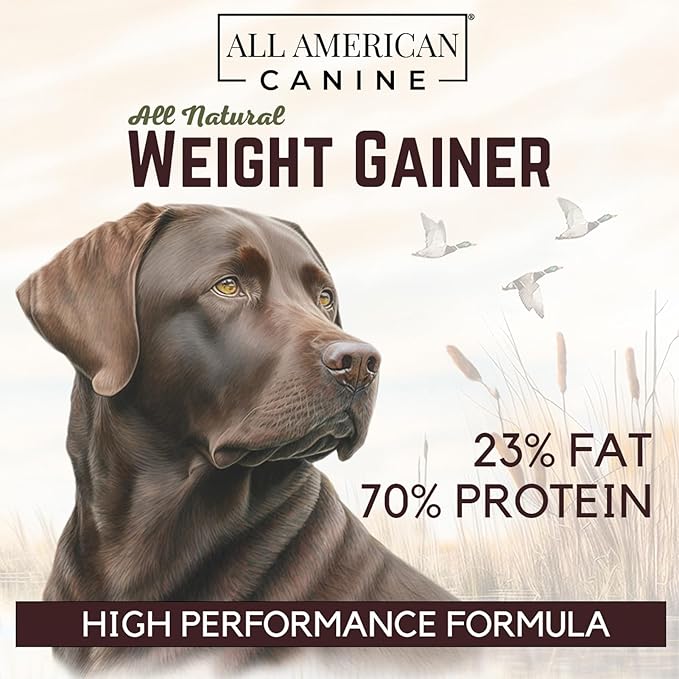 Bulk Dog Weight Gainer – High Calorie Dog Food Supplement & Protein Powder for Rapid Weight Gain, Mass, and Recovery – Appetite Stimulant – 230 Servings