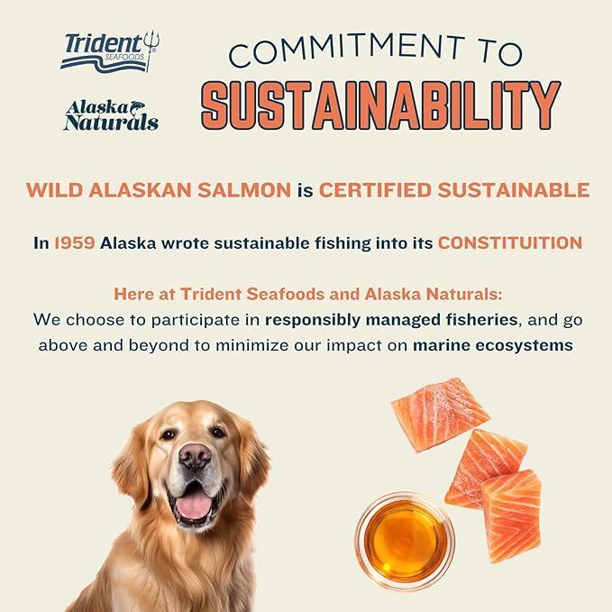Alaska Naturals Wild Alaskan Salmon Fish Oil Supplement for Dogs Skin and Coat with EPA DHA Omega 3 Fatty Acids Liquid Food Topper 15.5 oz. Pump