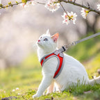 SCENEREAL Cat Harness and Leash Set Escape Proof, Adjustable Soft Air Mesh Kitten Harnesses for Girls Boys Small Medium Big Cats, Reflective Light Travel Pet Walking Vest for Puppy Rabbit, Red L