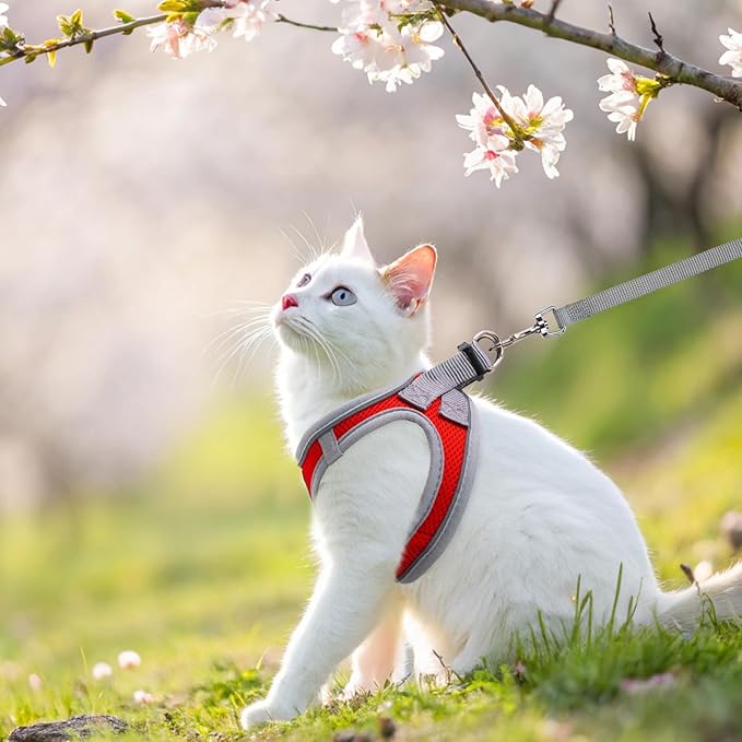 SCENEREAL Cat Harness and Leash Set Escape Proof, Adjustable Soft Air Mesh Kitten Harnesses for Girls Boys Small Medium Big Cats, Reflective Light Travel Pet Walking Vest for Puppy Rabbit, Red M
