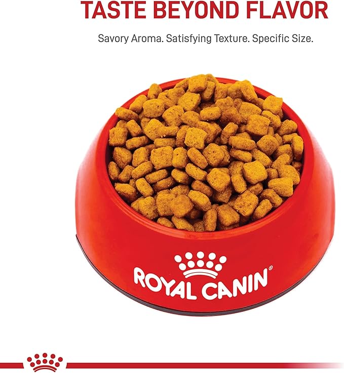 Royal Canin Dachshund Adult Breed Specific Dry Dog Food, 2.5 lb bag