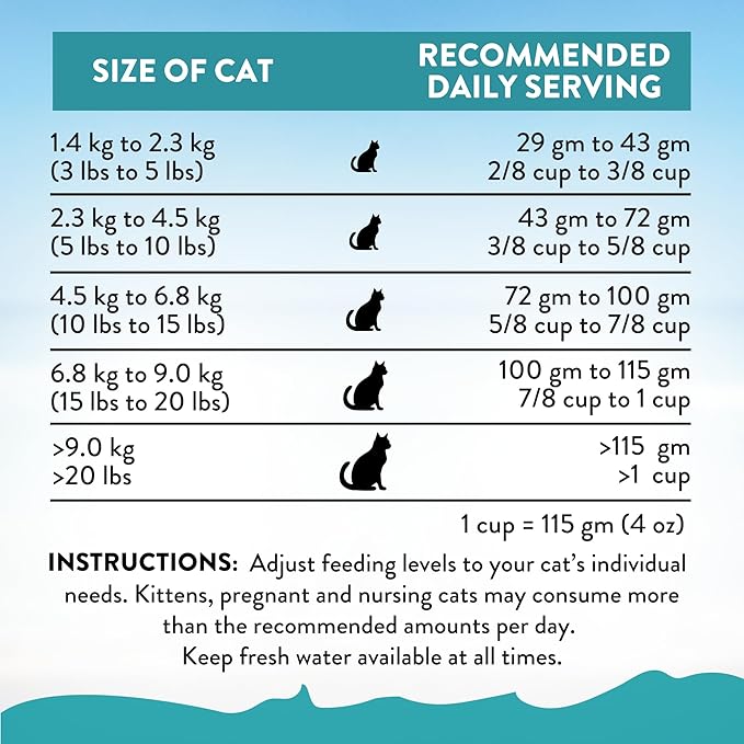 Addiction Salmon Bleu Grain-Free Dry Cat Food – Rich in Omega-3 for Healthy Skin & Coat – Complete & Balanced Salmon Recipe for All Life Stages – Made in New Zealand 4lb