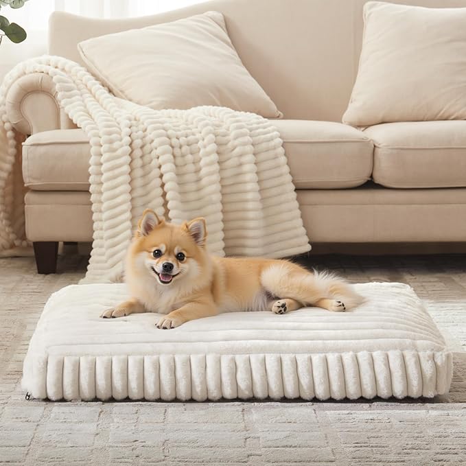 Dog Beds for Small Dogs, Flat Pet Beds with Removable Washable Cover, Pet Mat Cute Dog Crate Bed Thick Shredded Chopped Crate Foam & Anti Slip Bottom for Indoor, 23"x18"x3" Cream