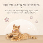Pet Odor Eliminator Spray – Instantly Destroys Odors & Pet Smells by Innovated Ti-Oxy™. Non-toxic, Fragrance-free & Safe for Pets, Home Use. Works on Urine, Litter Boxes, Carpets -10oz