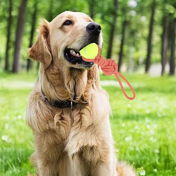Dog Rope Toy for Medium and Small Dogs Interactive Puppy Toys Tug of War Rope Tether Tug Outdoor Dog Toy 1 Knot Puppy Teething Chew Cotton with Tennis Ball