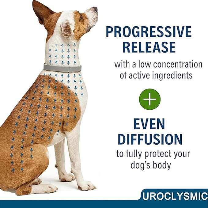 Large and Small Dog Flea Collar Vet-Recommended Dog Flea&Tick Treatment Prevention Collar for Dogs Under 18 lbs. | As Long as 8 Months Protection