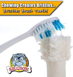 Bullibone Brusher: Dog Teeth Cleaning Brushing Toothbrush Stick - Long Lasting Nylon Peppermint Chew Toy for Dog Oral Care and Dental Health for Small Dogs and Puppies