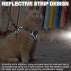 Cat Harness and Leash Set, Upgraded Escape Proof Adjustable Vest with Lead for Large Cat Small Dog Puppy Outdoor Walking, Soft Breathable Mesh Jacket with Reflective Strips for Dark Night, L Gray
