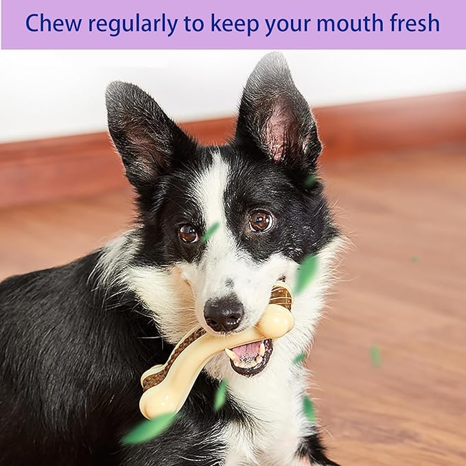 Dog Bones Chew Toys for Aggressive Chewers, 2 Pack Real Beef Flavor,Indestructible Dog Teething Chew Toys for Large/Medium/Small Breed,Tough Toy with Durable Nylon