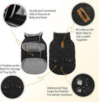 Queenmore Dog Winter Coat Warm Puffer Jacket Waterproof Plush Lining Thermal Cold Weather Vest for Small Medium Large Dogs, Windproof Easy On Pet Jacket Black S