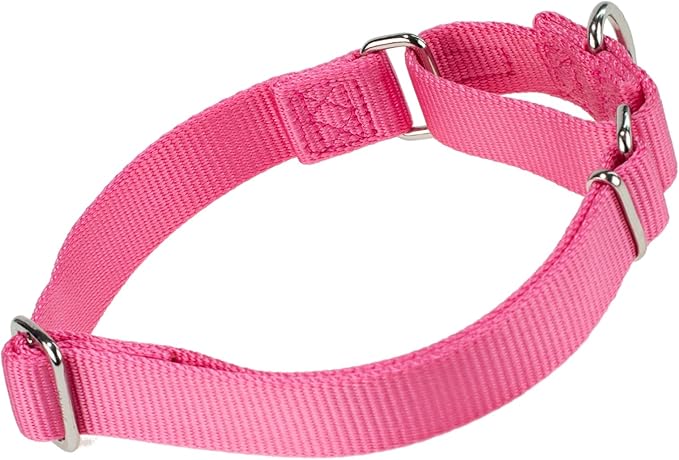 Hyhug Martingale Collar for Dogs Large Pink |Escape - Proof Heavy Duty Nylon Durable No Pull, Ideal for Training & Daily Walks