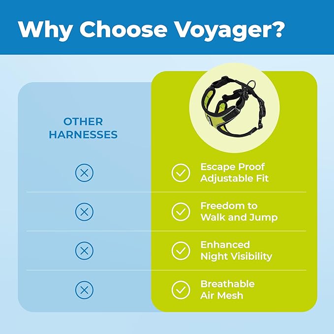 Voyager Escape-Proof Step-in Lock Cat Harness & 5ft Neoprene-Handle Leash Set All-Weather Mesh with Reflective Stitching for Small to Large Cats by Best Pet Supplies, Black Trim-Lime (327), S