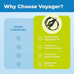 Voyager Escape-Proof Step-in Lock Cat Harness & 5ft Neoprene-Handle Leash Set All-Weather Mesh with Reflective Stitching for Small to Large Cats by Best Pet Supplies, Black Trim-Lime (327), XS