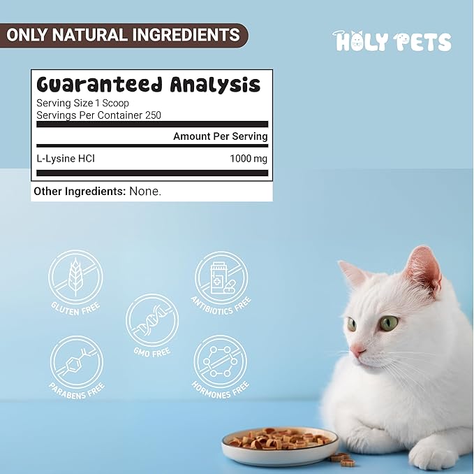100% Pure L-Lysine Powder for Cats – No Fillers, Additives or Preservatives – 1,000mg per Scoop – Immune, Respiratory & Eye Support – Helps with Sneezing, Runny Nose & Cold Symptoms