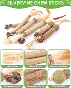 TINDTOP Catnip Chew Toys for Cats, 12 Pack Natural Silvervine Sticks for Kittens Teeth Cleaning, Matatabi Dental Care, Increase Appetite, Calm Cat Anxiety and Stress, Aggressive Chewers Cat Dental Toy