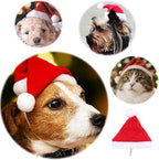Christmas Cat Costume - Santa Hat Outfit for Small Dogs & Cats | Festive Pet Santa Suit with Red Velvet Cape & Bell | Cute Xmas Holiday Costume Accessories (Red, Small)