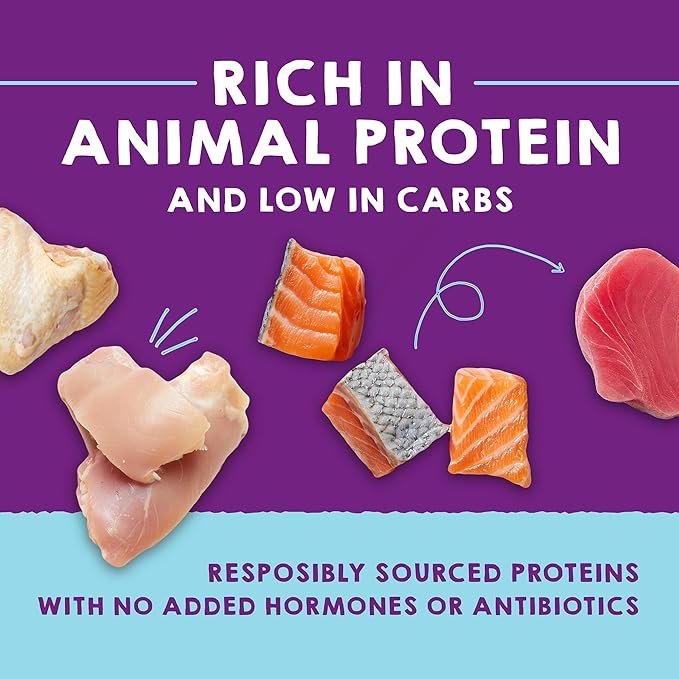 Stella & Chewy's Carnivore Cravings Purrfect Paté - Premium Grain-Free Wet Cat Food - 6 Flavor Variety Pack - High Protein with Bone Broth - Perfect for Picky Eaters - 2.8oz Cans (24 Pack)