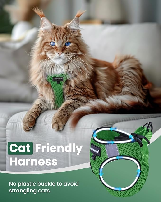 FAYOGOO Cat Harness, Cat Leash and Harness Set for Walking Escape Proof, Harness for Small Cats/Small Dogs, Large Kitten/Puppy Harness and Leash, Harness for Cats S-XXL(Neon Green, Large)