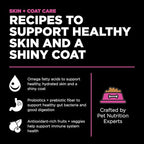 Go! Solutions Skin + Coat Care, Dry Cat Food, Chicken Recipe with Grains, 8 lb Bag