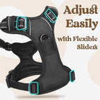 rabbitgoo Dog Harness Small Sized, No Pull Pet Harness with 3 Buckles, Adjustable Soft Padded Vest with Control Handle, Walking Reflective Pet Vest for Small Dogs, Black, S