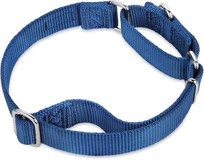Hyhug Martingale Collar for Dogs Large Blue |Escape - Proof Heavy Duty Nylon Durable No Pull, Ideal for Training & Daily Walks