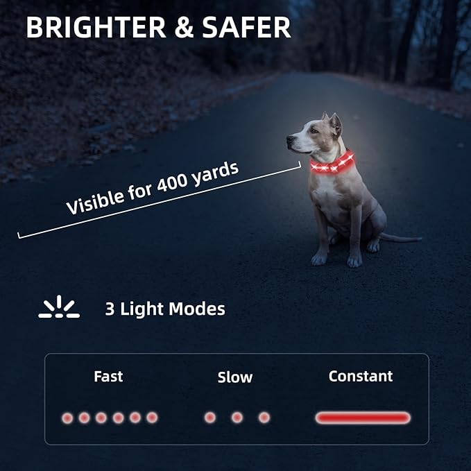 Super Bright LED Dog Collar - Fully Waterproof & Adjustable Glow Collar - USB-C Rechargeable for Night Walking, Safety - Flashing Lighted Collar for Dogs(Red,Large)