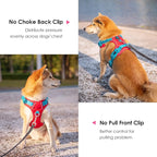 PHOEPET No Pull Dog Harness, Unique Colors Reflective Adjustable Dog Vest, with Soft Training Handle Metal Clips for Small Medium Large Dogs (Red Base & Teal Straps,L)