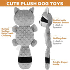 petizer Plush Squeaky Dog Toys, Stuffed and Crinkle Dog Chew Toys, Interactive Toys for Puppies, Small, Medium and Large Dogs, Cute Squirrel and Raccoon, 2 Pack