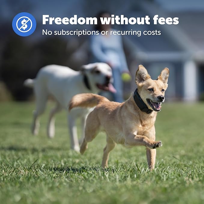 PetSafe Guardian GPS Dog Fence – No Subscription – Create Your Own Wireless Fence for Dogs – for Yards 3/4 Acres or Larger – World's Safest GPS Dog Fence Tech – New, Redesigned Collar