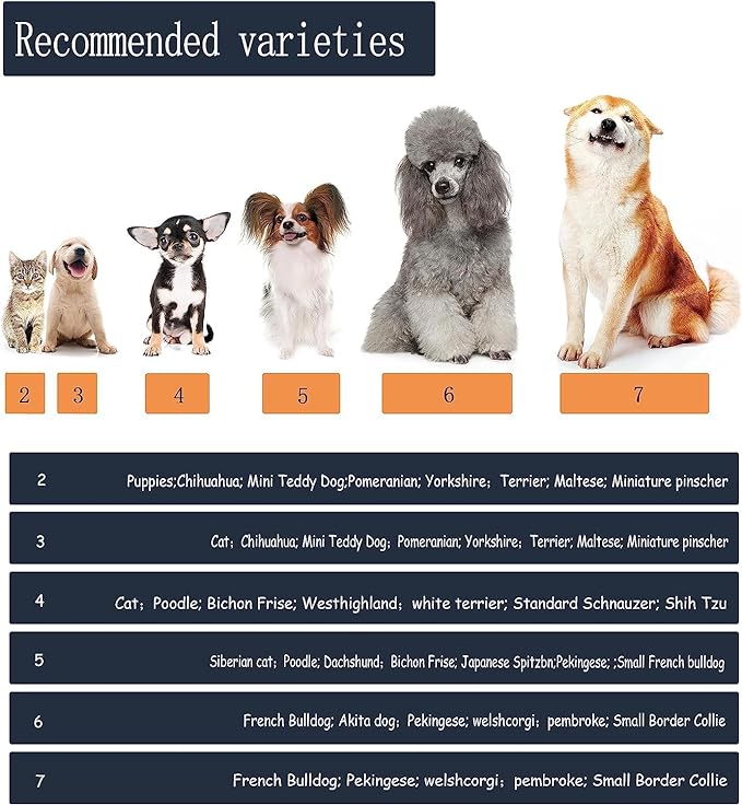 YAODHAOD Dog Shoes for Hot Pavement, Anti-Slip Sole Dog Boots & Paw Protector for Summer, Reflective Straps Dog Booties for Small Medium Dogs, Indoor Use 4PCS (Blue,Size: 6)