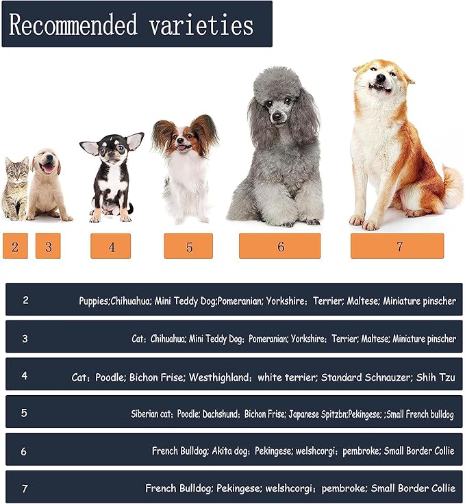 YAODHAOD Dog Shoes for Hot Pavement, Anti-Slip Sole Dog Boots & Paw Protector for Summer, Reflective Straps Dog Booties for Small Medium Dogs, Indoor Use 4PCS (Red, Size: 5)