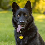 MYLUCKYTAG QR Code Silicone Pet ID Tag for Dogs and Cats - Online Profile, Location Alert Email, Digital and Quiet Tag, Durable Collar ID, Engraved