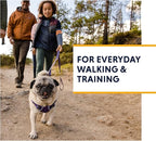 Ruffwear, Front Range Dog Harness, Reflective Soft Padded Everyday Harness with Dual Leash Clips, Adjustable and Lightweight Fit for Training or Walking for All Dogs, Red Clay, X-Small