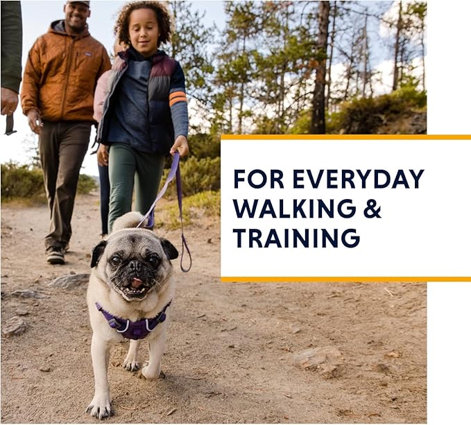 Ruffwear, Front Range Dog Harness, Reflective Soft Padded Everyday Harness with Dual Leash Clips, Adjustable and Lightweight Fit for Training or Walking for All Dogs, Red Clay, Medium