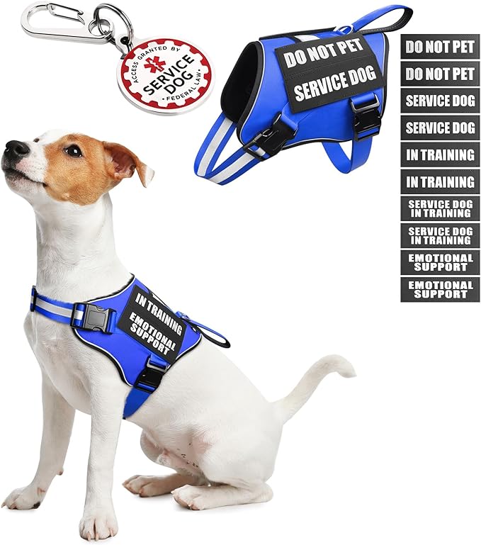 Service Dog Vest Harness+ID Tag+10 Patches,Metal Serivce Dog Tag&Reflective Emotional Support Dog Vest with Handle for Small Dogs,Easy Put On/Off for Training/Walking/Everyday Blue XS