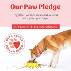 SKOUT'S HONOR Super Sour! Anti Chew Spray - Natural Ultra Bitter Formula to Help Deter That unwanted Chewing, Licking, and Biting - Safe for Pets - Safe for Indoor and Outdoor Use,16 oz