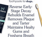 Remineralizing Dog Toothpaste – Vet-Grade, with Nano-Hydroxyapatite, Reverses Early-Stage Decay, Cleans Teeth, Reduces Tartar, Freshens Breath by Arterra Pet Science, Plant-Based, Natural Flavor, 3oz