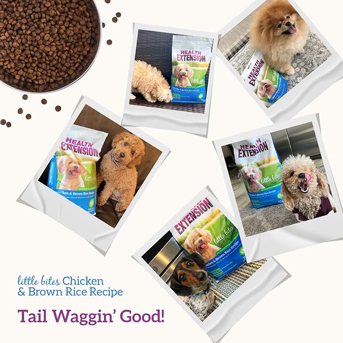 Health Extension Little Bites Dry Dog Food for Small Breeds, Chicken & Brown Rice Recipe, with Probiotics & Superfoods for Digestion & Coat Health, 1 lb Bag