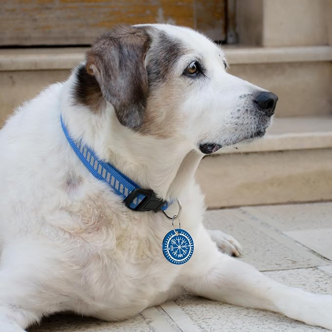 MYLUCKYTAG QR Code Stainless Steel Pet ID Tag - Personalized Online Profile, Location Alert Email, Digital ID, Durable Dog Collar Tag, Engraved