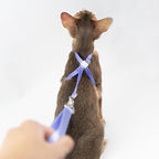 Cat Harness and Leash 2-in-1, Escape Proof Anti-Chocking Harness Adjustable Lighweight Leash for Walking Outoor Training for Kitten Small to Large Cats Puppy, US IDA Bronze Award (Blurple)