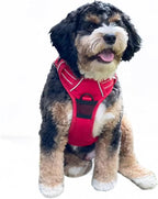 Doggie Design Venture Paw No Pull Dog Harness - Simple Adjustable Puppy Harness - Anti Pull Dog Collar for Walks and Outdoor Adventures - Crimson, M