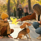 EXPAWLORER Plush Squeaky Duck Dog Toy - Soft Stuffed Small Dog Toys Cute Yellow Duck, Best Birthday Gift Interactive Filled Chew Toys for Puppy Small Medium Dogs Biting Training Teething, 2 Pack