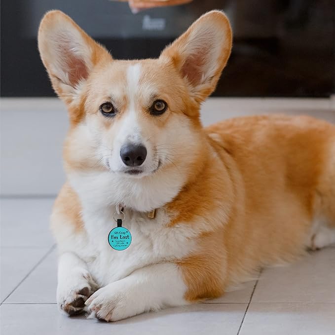 MYLUCKYTAG QR Code Pet ID Cat/Dog Tag - Quiet Engraved Silicone, Online Profile, Location Alert Email - Durable Digital Pet Tag for Dog Collar