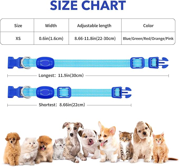 Light Up Dog Collar for Small Dogs, Reflective LED Dog Collar Rechargeable Puppy Collar Glowing Cat Collars Safety Dog Lights for Night Walking (Royal Blue)