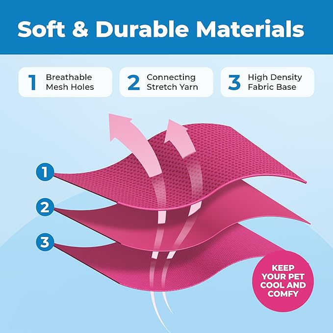 Voyager Escape-Proof Step-in Lock Cat Harness & 5ft Neoprene-Handle Leash Set All-Weather Mesh with Reflective Stitching for Small to Large Cats by Best Pet Supplies, Fuchsia (327), XXS