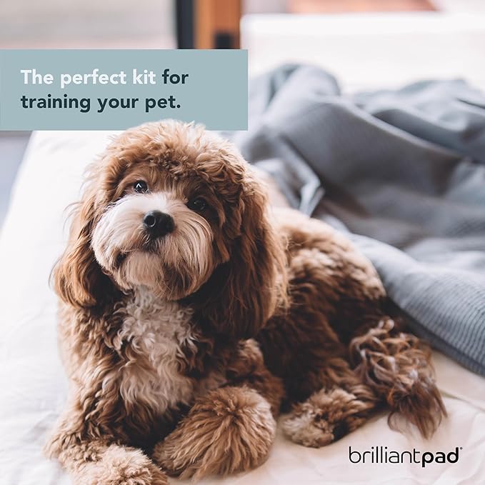 BrilliantPad Puppy Training Spray Kit | No Chew Deterrent, Pet Stain Remover & Odor Eliminator, Natural Attractant & Repellent | Stop Biting, Enzyme Cleaner for Dog & Cat Pee | 3 Bottles, 4oz Each