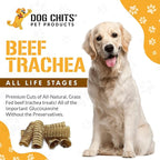 Dog Chits Beef Trachea for Dogs - Dog and Puppy Chews | Amazing for Joints | Made in USA | 6 in, 8 Pack | All-Natural Treats | Large and Small Breeds