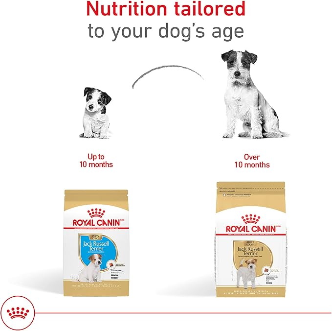 Royal Canin Breed Health Nutrition Jack Russell Terrier Puppy Dry Dog Food, 3 lb Bag