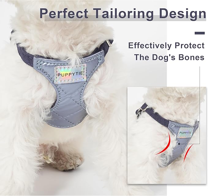 Puppytie No Pull Small Dog Harness with Multifunction Dog Leash,Lightweight Soft Adjustable No Choke Escape Proof Pet Harness Vest Pet Harness Vest,Glossy Galaxy Blue,S